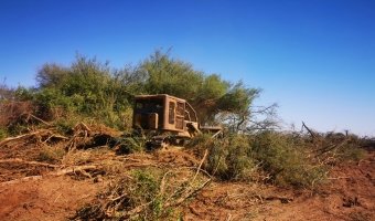 Canje de 330 Ha Agrícolas por Campo Ganadero