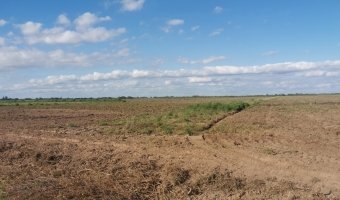 Administración y Desarrollo de Campos. Asesoramiento