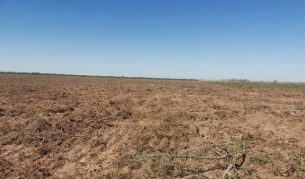 Administración y Desarrollo de Campos. Asesoramiento