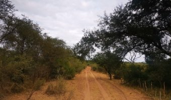 Campo Ganadero San Pedro de Choya, Santiago del Estero