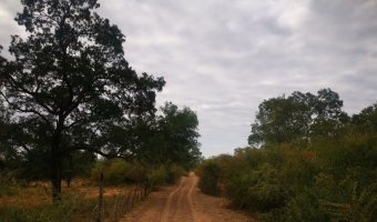 Campo Ganadero San Pedro de Choya, Santiago del Estero