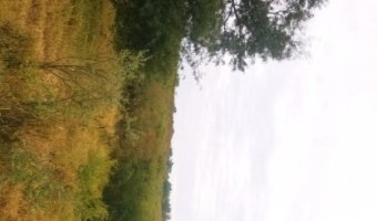 Campo Ganadero San Pedro de Choya, Santiago del Estero