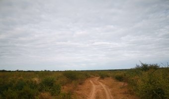 Campo Ganadero San Pedro de Choya, Santiago del Estero