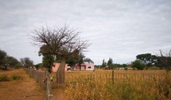 Campo Ganadero San Pedro de Choya, Santiago del Estero