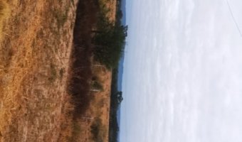 Campo Ganadero San Pedro de Choya, Santiago del Estero