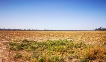Campo Mixto, San Isidro, Santiago del Estero