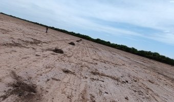 Desmonte Manual, Postdesmonte, Alambrados