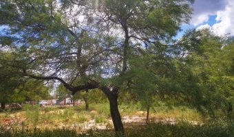 Terreno de 30 x 50 metros en El Zanjón
