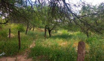 Terreno de 30 x 50 metros en El Zanjón