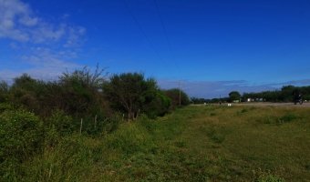 50 Ha Agrícolas Estación Taboada, Santiago del Estero