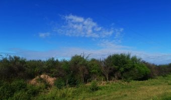 50 Ha Agrícolas Estación Taboada, Santiago del Estero