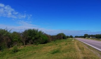 50 Ha Agrícolas Estación Taboada, Santiago del Estero