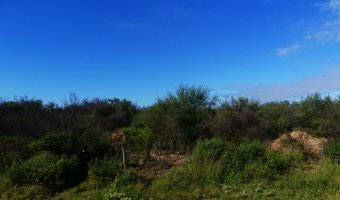 50 Ha Agrícolas Estación Taboada, Santiago del Estero