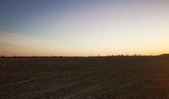 Campo Agrícola en La Aurora, Santiago del Estero
