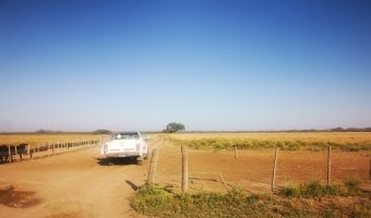 Campo Ganadero Estación Taboada, Santiago del Estero