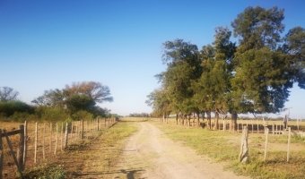 Campo Ganadero Estación Taboada, Santiago del Estero