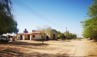 Campo Ganadero Estación Taboada, Santiago del Estero