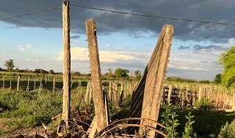 Campo Agrícola-Ganadero en Beltrán, Santiago del Estero