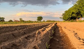 Campo Agrícola-Ganadero en Beltrán, Santiago del Estero