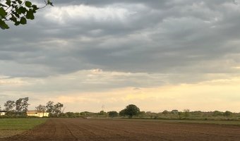 Campo Agrícola-Ganadero en Beltrán, Santiago del Estero