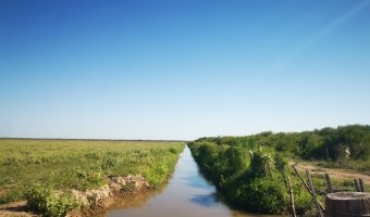 Campo Agrícola en Fernández