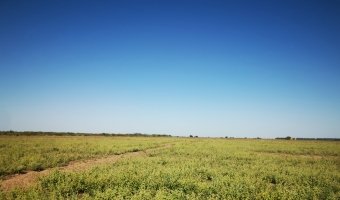 Campo Agrícola en Fernández