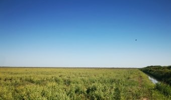 Campo Agrícola en Fernández