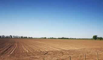 Campo Agrícola-Ganadero en Beltrán, Santiago del Estero