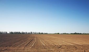 Campo Agrícola-Ganadero en Beltrán, Santiago del Estero