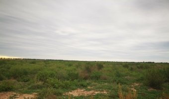 100 Ha Agrícolas en Pampa Muyoj