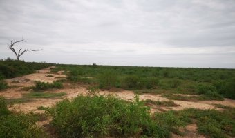 230 Ha Agrícolas en Cañada Escobar, Santiago del Estero