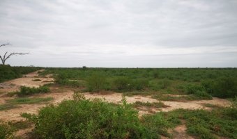 230 Ha Agrícolas en Cañada Escobar, Santiago del Estero