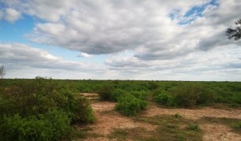 230 Ha Agrícolas en Cañada Escobar, Santiago del Estero