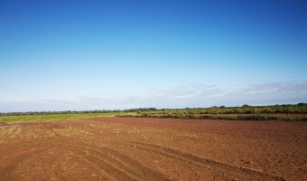 Campo Agrícola en Loreto, Santiago del Estero