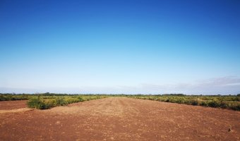 Campo Agrícola en Loreto, Santiago del Estero