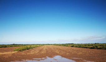 Campo Agrícola en Loreto, Santiago del Estero
