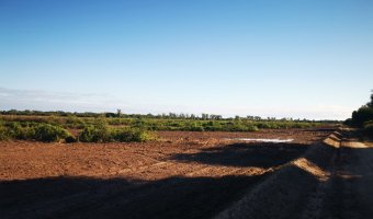 Campo Agrícola en Loreto, Santiago del Estero