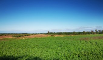 Campo Agrícola en Loreto, Santiago del Estero