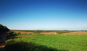 Campo Agrícola en Loreto, Santiago del Estero