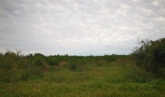 Campo Agrícola en La Aurora, Santiago del Estero
