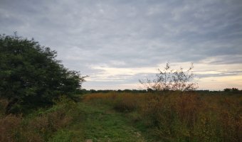 Campo Agrícola en La Aurora, Santiago del Estero