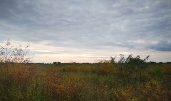 Campo Agrícola en La Aurora, Santiago del Estero