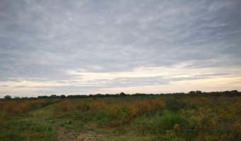 Campo Agrícola en La Aurora, Santiago del Estero