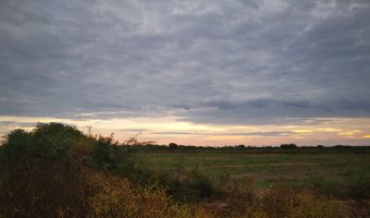 Campo Agrícola en La Aurora, Santiago del Estero