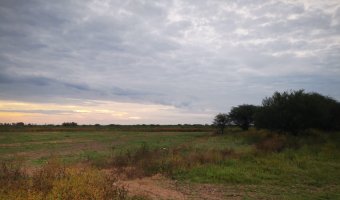 Campo Agrícola en La Aurora, Santiago del Estero