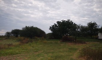 Campo Agrícola en La Aurora, Santiago del Estero