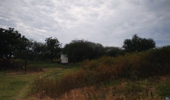 Campo Agrícola en La Aurora, Santiago del Estero