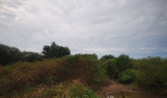 Campo Agrícola en La Aurora, Santiago del Estero