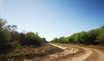 Campo Ganadero en Garza, Santiago del Estero