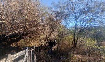 Chacra en el Tramo 18, Santiago del Estero